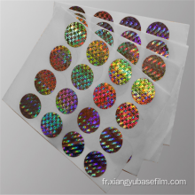 Film holographique jetable de métallisation de Basilemma de laser